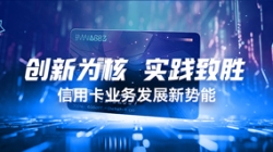 创新为核,实践致胜:信用卡业务发展新势能