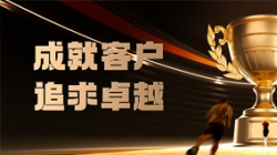 78天攻坚成功!某股份制银行“一表通”报送效率&质量双重领跑
